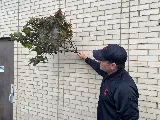 Pestco Professional Services photo 8