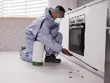 Ktown Pest Solutions photo 3