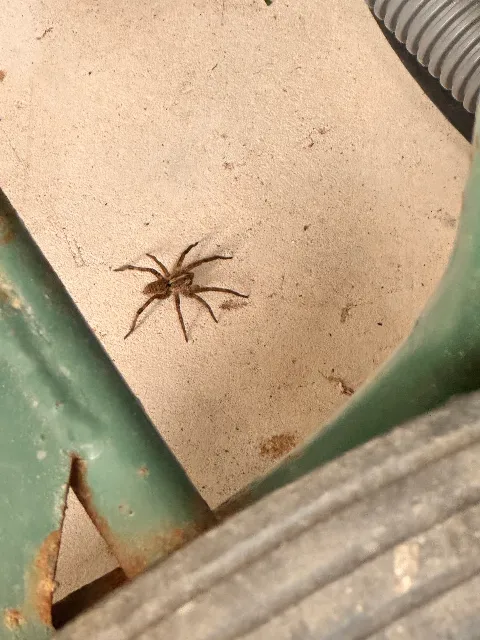 EnviroGuard Pest Control photo 1