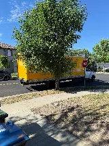B2 Moving Company photo 5