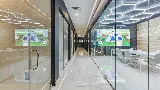Texas Solar Professional