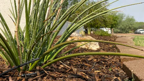 Dawn Till Dusk Landscaping, LLC photo 1