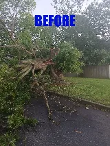 Snipes Lawn & Landscaping photo 6
