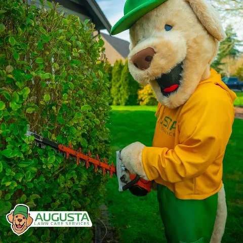 Augusta Lawn Care of East Springfield in Springfield