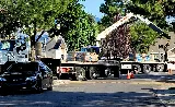Whitaker Roofing Services photo 8