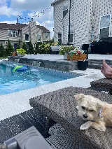 Signature Pools & Spas photo 8