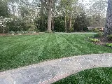 A.X. Landscaping photo 2