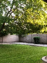 First Option Landscape photo 6