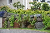 Quadra Landscape photo 8