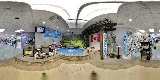 Mirage Pool and Spa photo 2