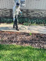 Recon Pest Services photo 3