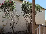 Diamond Cut Landscaping photo 5