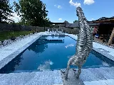 Blue Haven Pools & Spas photo 4