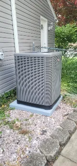 Zaina Service Tech