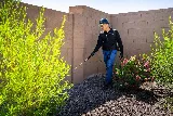 Insectek Pest Solutions photo 5
