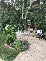 Newstone Landscaping photo 6