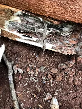 Expert Pest Control Solutions photo 5