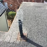 Addison Pest Control photo 7