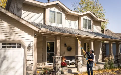 Rainbow Pest Experts in Minneapolis