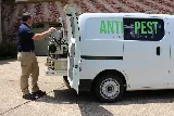 Anti-Pest photo 6