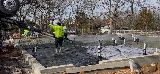 Loco Concrete photo 4