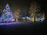 Yard Guard Lawn & Tree Care photo 5