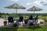 Chameleon Pools photo 8