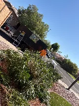 AC Macias Landscaping LLC photo 7