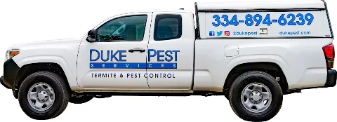 Duke Pest Services Inc in Enterprise