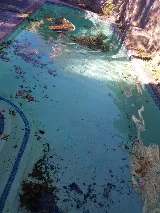 Priority Pool Service photo 6
