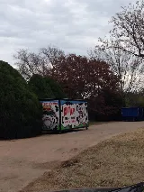 COWs of Abilene photo 4