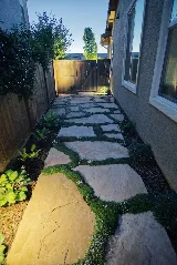 Rogers Landscape photo 8