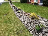 Redwoods Landscaping Inc photo 4