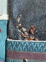 Affordable Bed Bug Exterminators photo 8