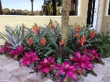 M.C. GENERAL LANDSCAPING, INC. photo 6