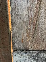 Spud Pest Control photo 8