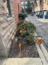 Superior Pest Solutions photo 4