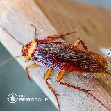 The PEST Group photo 6