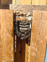 Precision Pest Control photo 10