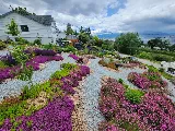 Samberito Landscaping photo 3