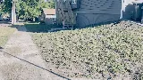 Fenix Pest Control, Inc. photo 8