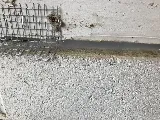 Rainbow Pest Experts photo 8