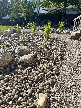 Bedgeco Landscaping photo 2