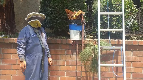 A Step Above Pest Control photo 1
