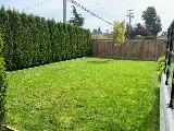White Rock Lawn and Yard Care Ltd. photo 3
