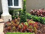 Central Land Care photo 3
