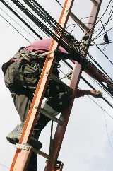 Maple Leaf Electrical Ltd photo 6