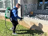 Surge Pest Control photo 8