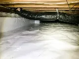 BACK BAY PEST & MOSQUITO photo 2