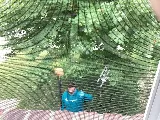 EcoShield Pest Solutions photo 8